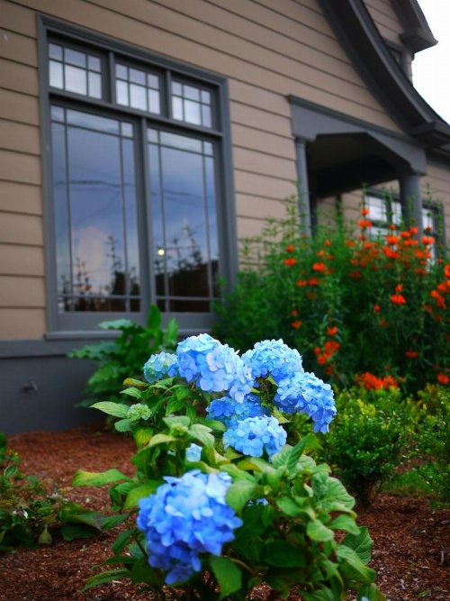 Hydrangea Inn image 24